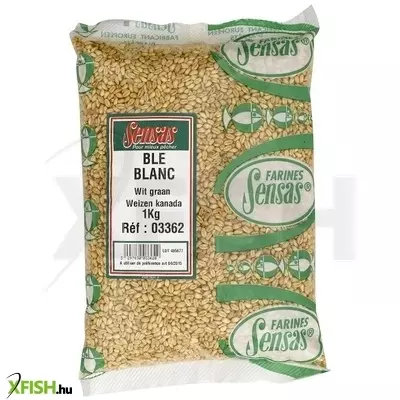 Sensas Wheat White Dry Seeds Búza 1000g